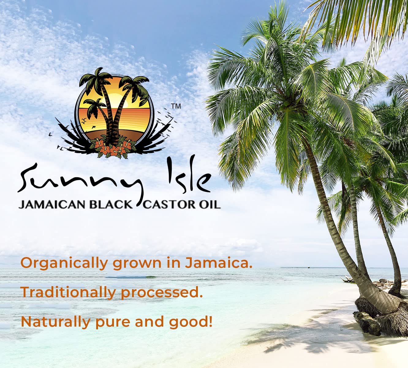 Sunny Isle The Original Jamaican Black Castor Oil - Image 6
